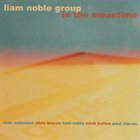 LIAM NOBLE Liam Noble Group : In The Meantime album cover