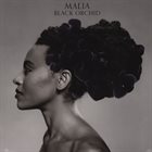 MALIA Black Orchid album cover