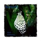 MARK WIBBERLEY Butterfly album cover
