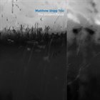 MATTHEW SHIPP The Unidentifiable album cover