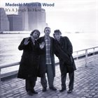 MEDESKI MARTIN AND WOOD It's a Jungle in Here album cover