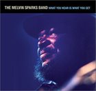 MELVIN SPARKS What You Hear Is What You Get album cover