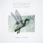 MERZBOW Ducks: Live in NYC (with Balázs Pándi) album cover