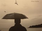 MIHÁLY DRESCH Ritka Madár /Rare Bird album cover