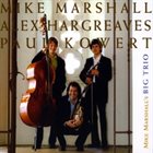MIKE MARSHALL Mike Marshall's Big Trio album cover