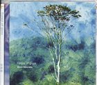 MOTOI SAKURABA Forest Of Glass album cover