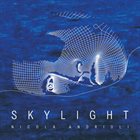 NICOLA ANDRIOLI Skylight album cover