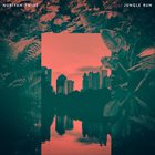 NUBIYAN TWIST Jungle Run album cover