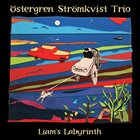 ÖSTERGREN STRÖMKVIST TRIO Liam's Labyrinth album cover