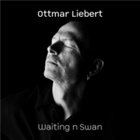 OTTMAR LIEBERT Waiting n Swan album cover