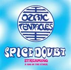 OZRIC TENTACLES Spice Doubt album cover