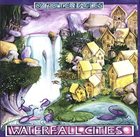 OZRIC TENTACLES Waterfall Cities album cover
