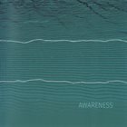 PALLE MIKKELBORG Awareness album cover