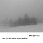 PER ODDVAR JOHANSEN Per Oddvar Johansen / Seijiro Murayama : Dented Time album cover