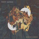 POPPY AJUDHA David's Song album cover