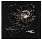 RHODRI DAVIES Wunderkammern (with Lee Patterson / David Toop) album cover