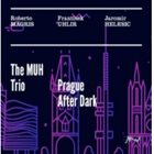 ROBERTO MAGRIS The MUH Trio : Prague After Dark album cover