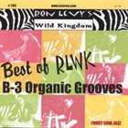 RON LEVY Best of RLWK :B-3 Organic Grooves album cover