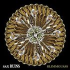 SAX RUINS Blimmguass album cover