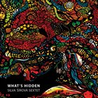 SILVA ŠÍROVÁ What's Hidden album cover