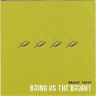 SNARKY PUPPY Bring Us the Bright album cover
