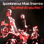 SPONTANEOUS MUSIC ENSEMBLE So, What Do You Think? album cover