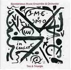 SPONTANEOUS MUSIC ENSEMBLE Trio & Triangle album cover