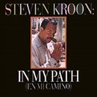 STEVEN KROON In My Path album cover