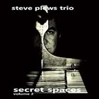 STEVE PLEWS Secret Spaces, Vol. 2 album cover