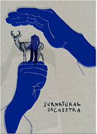 SURNATURAL ORCHESTRA L'Homme sans tête - Inclus deux recueils album cover