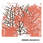 SUSANA SANTOS SILVA Impermanence album cover
