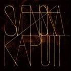 SVENSKA KAPUTT Svenska Kaputt album cover
