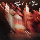 SWEET HONEY IN THE ROCK Sweet Honey In The Rock album cover