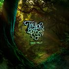 TAYLOR EIGSTI Tree Falls album cover
