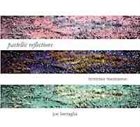 TERRENCE MCMANUS Pastellic Reflections (with Joe Battaglia) album cover