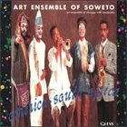 THE ART ENSEMBLE OF CHICAGO America - South Africa album cover