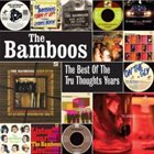 THE BAMBOOS The Best of the Tru Thoughts Years album cover