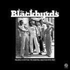 THE BLACKBYRDS Walking in Rhythm: The Essential Selection 1973-1980 album cover