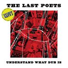 THE LAST POETS Understand What Dub Is (Prince Fatty dubs) album cover