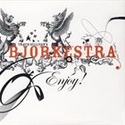 TRAVIS SULLIVAN Bjorkestra ‎: Enjoy! album cover