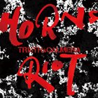 TRI4TH Horn Riot album cover