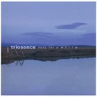 TRIOSENCE Away for a While album cover