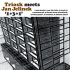TRIOSK Triosk Meets Jan Jelinek ‎: 1+3+1 album cover
