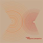 TRIPTET Imaginary Perspective album cover