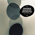 VARIABLE GEOMETRY ORCHESTRA Quasar album cover