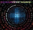 VICTOR WOOTEN Sword and Stone album cover
