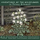 YELENA ECKEMOFF Adventures Of The Wildflower album cover