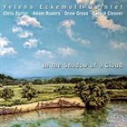 YELENA ECKEMOFF In the Shadow of a Cloud album cover