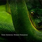 YURI HONING WIRED PARADISE Temptation album cover