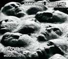 ZEN WIDOW Screaming In Daytime (featuring Wadada Leo Smith) album cover